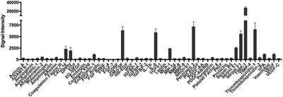 Human Skin-Derived Mast Cells Spontaneously Secrete Several Angiogenesis-Related Factors